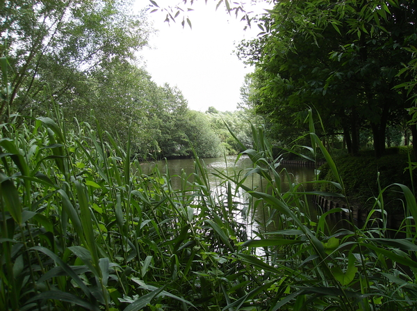 St.Amands Mei 2011 005