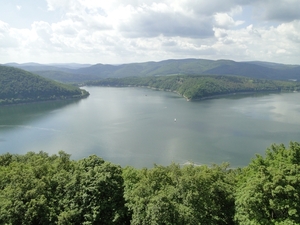 DSC00590