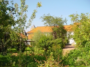 DSC08114
