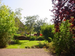 DSC08115