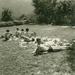 VISP zwemkom - 1970