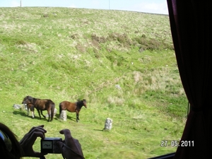 Cornwall-Devon  2011 026