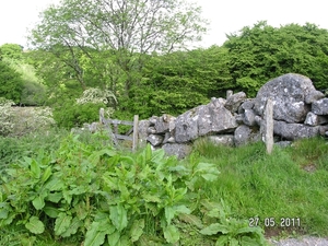 Cornwall-Devon  2011 046