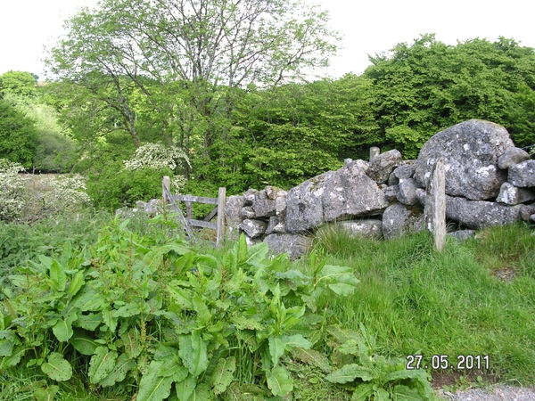 Cornwall-Devon  2011 046