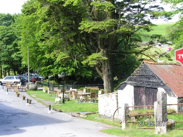 Cornwall-Devon  2011 034