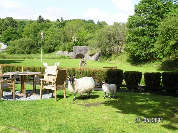 Cornwall-Devon  2011 037