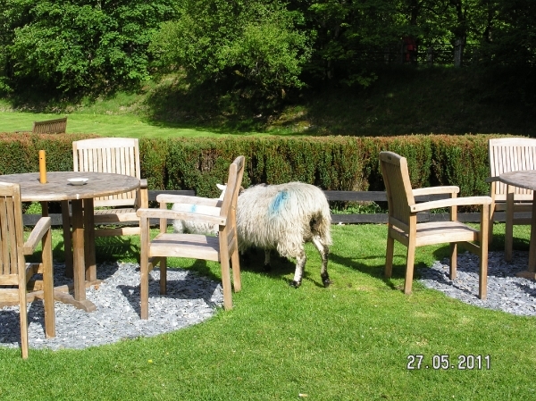 Cornwall-Devon  2011 038