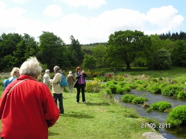 Cornwall-Devon  2011 056