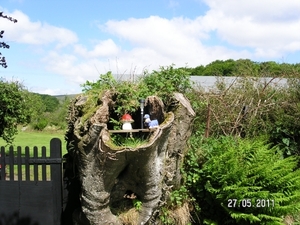 Cornwall-Devon  2011 064