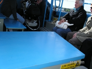 Cornwall-Devon  2011 106