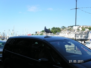 Cornwall-Devon  2011 116