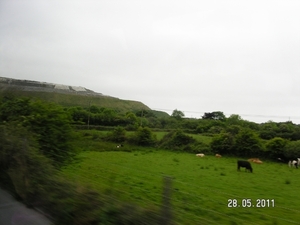 Cornwall-Devon  2011 123