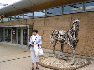 Cornwall-Devon  2011 128