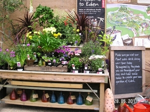 Cornwall-Devon  2011 130