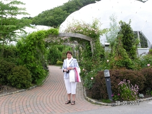 Cornwall-Devon  2011 138