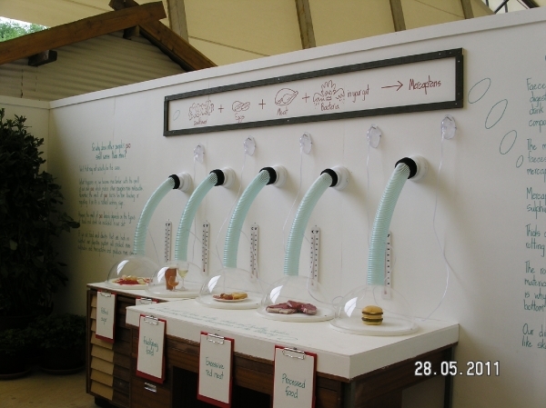 Cornwall-Devon  2011 142