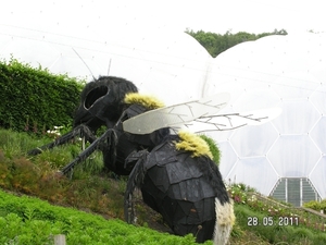 Cornwall-Devon  2011 146