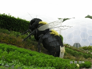 Cornwall-Devon  2011 147