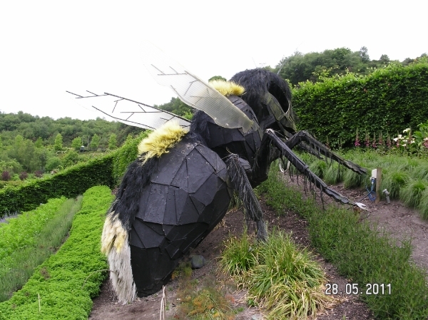 Cornwall-Devon  2011 148