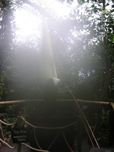 Cornwall-Devon  2011 151