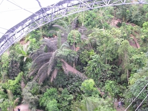 Cornwall-Devon  2011 155