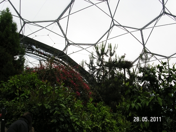 Cornwall-Devon  2011 160