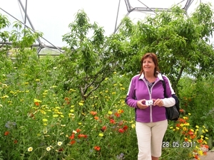 Cornwall-Devon  2011 162