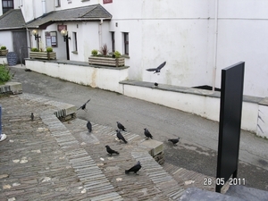 Cornwall-Devon  2011 188