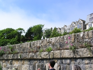 Cornwall-Devon  2011 247