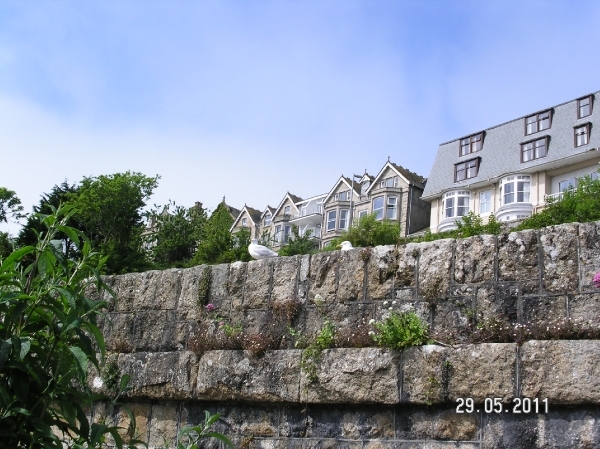 Cornwall-Devon  2011 248