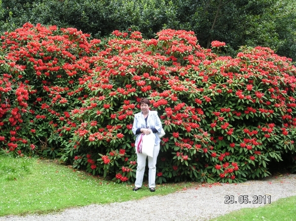 Cornwall-Devon  2011 280