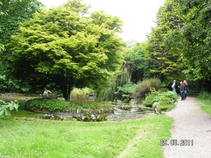 Cornwall-Devon  2011 281