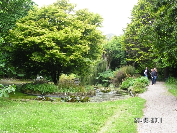 Cornwall-Devon  2011 281