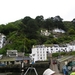 Cornwall-Devon  2011 316