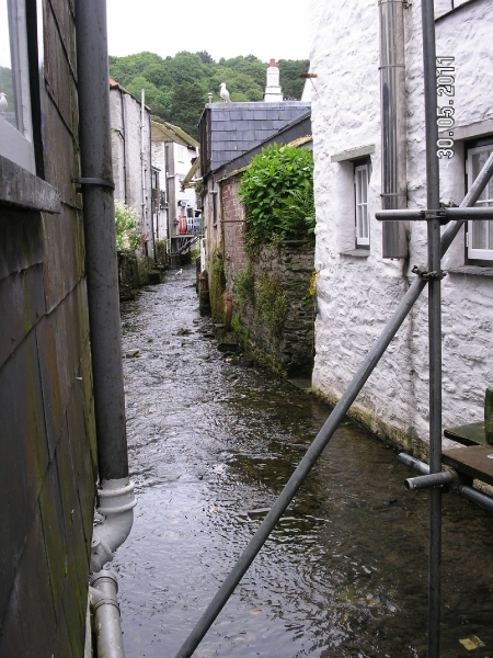 Cornwall-Devon  2011 331