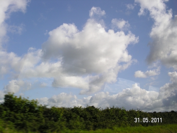 Cornwall-Devon  2011 379