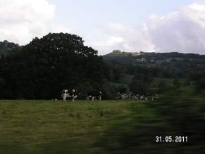 Cornwall-Devon  2011 381