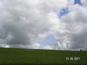 Cornwall-Devon  2011 384