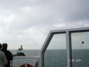 Cornwall-Devon  2011 411