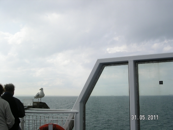 Cornwall-Devon  2011 411