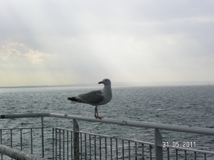 Cornwall-Devon  2011 412