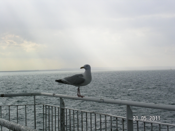 Cornwall-Devon  2011 412