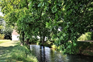 Tuin in Sissinghurst 6