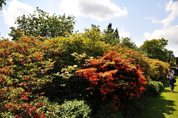 Tuin in Sissinghurst 9