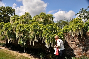 Tuin in Sissinghurst 10