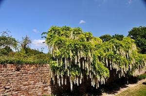 Tuin in Sissinghurst 12