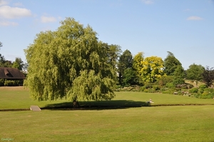 Leeds-Castle 13