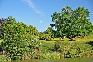 Leeds-Castle 24