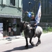 Lebbeke bid en boete processie OHH 2011 012