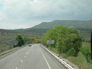 olijvenroute4